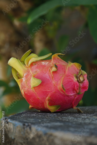 The dragon fruit is placed on the table