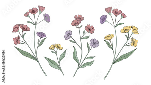 Floral Fantasy: A delicate ensemble of botanical illustrations presents a vibrant display of blossoming flowers, their petals adorned with soft hues and graceful forms.