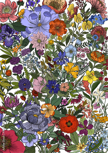 flowers spring bloom