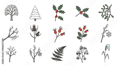Collection of Various Hand Drawn Plant Illustrations.