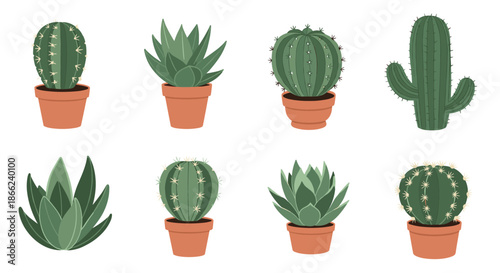 Selection of various desert plants including cacti and succulents in terracotta pots with different shapes and spines for home gardening.
