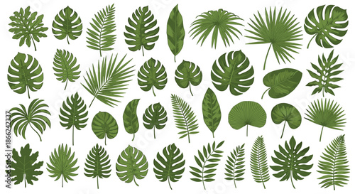 Extensive grid of various tropical green leaf illustrations featuring monstera palm and fern leaves for exotic botanical designs.