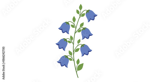 Delicate illustration of blue bell flowers on a single stem with small green leaves isolated on a plain white background for botanical art.