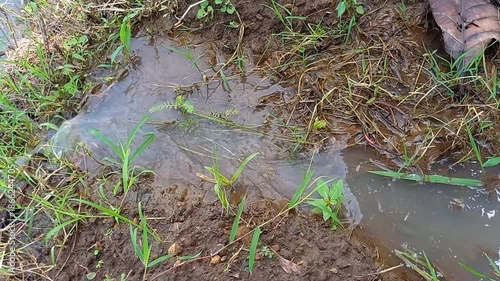 Water Flowing Through Muddy Grass Field – Rural Irrigation and Natural Runoff