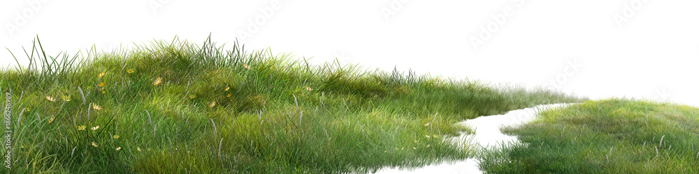 Fototapeta premium grass Wide green meadow with wild grass and small flowers isolated on a white background, expressing natural landscape and fresh spring growth.