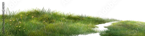Foto grass Wide green meadow with wild grass and small flowers isolated on a white background, expressing natural landscape and fresh spring growth
