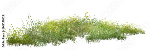 Photography grass isolated on white background/Fresh green grass patch isolated on a white background, symbolizing natural growth, ecology, and outdoor landscape beauty
