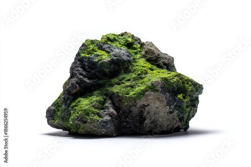 A mossy rock, dark gray/brown with vibrant green moss