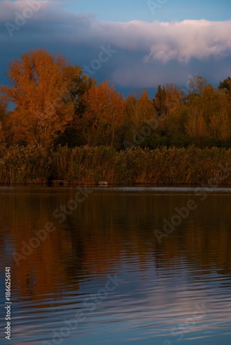 Calm evening atmosphere over a wild nature pond with reeds