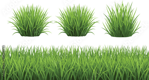 Green grass collection featuring flat vector designs of various lawn tufts and a seamless horizontal grass border for nature and garden design.