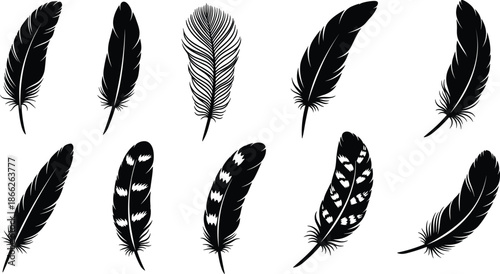 Black tree silhouette vector collection, twisted trunk design elements with lush canopy, nature garden icons, olive and oak style trees for landscape branding.