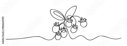 Simple one continuous line drawing of fresh blueberries on a delicate vine with leaves, ideal for healthy food promotion, natural product packaging, or minimalist kitchen wall decoration.