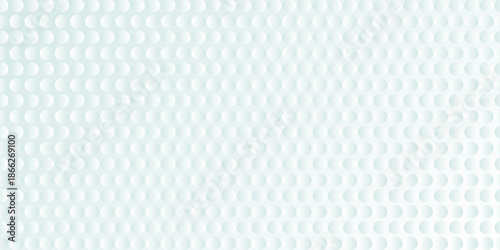 Abstract geometric light mint green background with halftone effect. Mesh of random circles. Guilloche elements, grid vector. Dot white gray wave light technology texture background ..