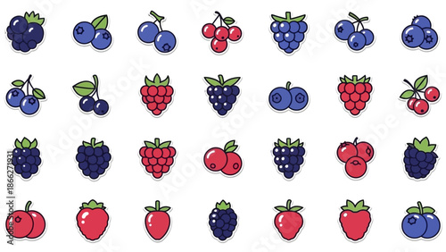 Colorful Berries and Fruits Illustration.