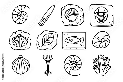 Fossil Mollusk Icons. Line style icons of fossil mollusks: ammonite, belemnite, fossil shell, trilobite; etched slab, petrified