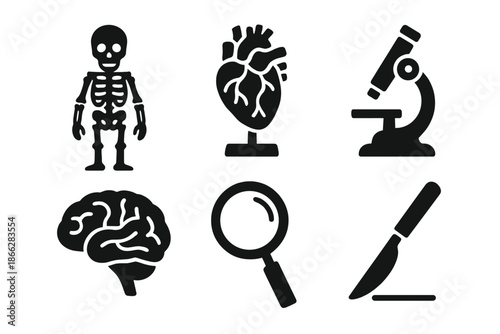 Anatomical Tools Icons. Solid style icons of anatomical exploration tools: skeleton, heart model, microscope, scalpel, brain