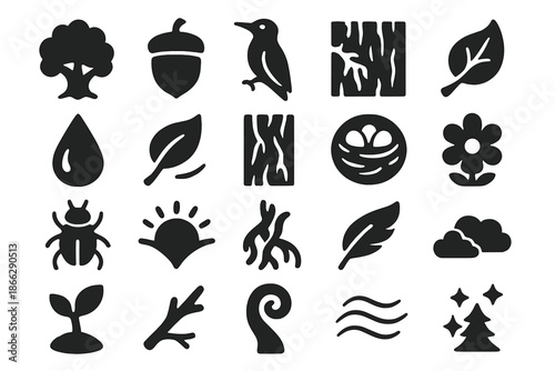 Nature Harmony Icons. Solid style icons of Nature Harmony: oak tree, acorn, woodpecker, mossy branch, dew drop, fluttering leaf,