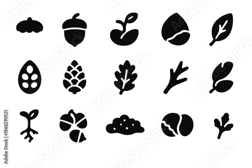 Nature's Symbols. Solid style icons of Acorns and Seeds: acorn cap, oak nut, sprouting seed, cracked shell, fallen leaf, seed pod,