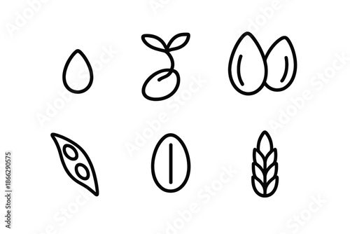 Line Art Seeds. Line style icons of Seed: small seed, sprouting seed, seed pair, oval kernel, tiny pod, simple grain. No text, No