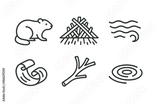 Timber Flow Icons. Line style icons of Timber Flow Haven: small mammal outline, built dam, moving water, bark curls, forest limb,