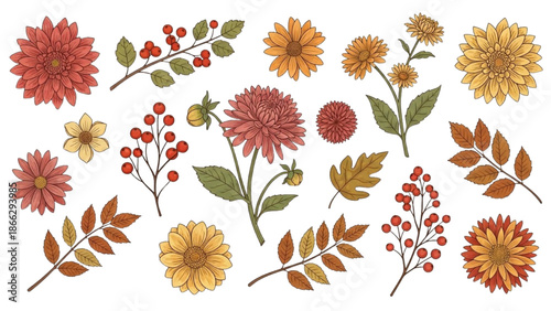 A vibrant collection of autumnal flowers and leaves arranged in a visually appealing pattern on a clean white background