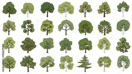Collection of various trees illustrated in different shapes and sizes on a white background