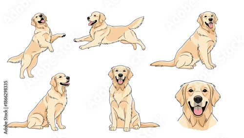 Collection of Golden Retriever dog illustrations showing various poses like sitting jumping and detailed head portraits for breeds.