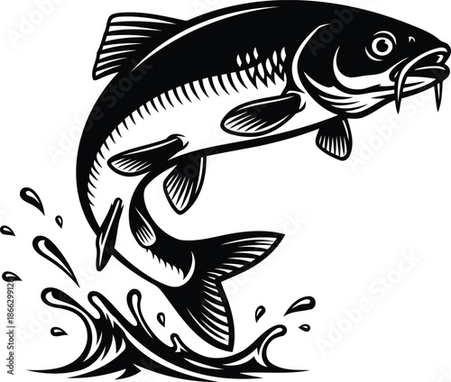 Powerful carp fish leaping in water splash illustration art