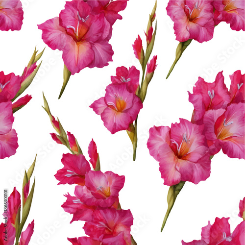 Pink gladiolus watercolor pattern with delicate petals and buds on transparent background, vibrant botanical repeat ideal for fabric, wallpaper, stationery and wedding designs