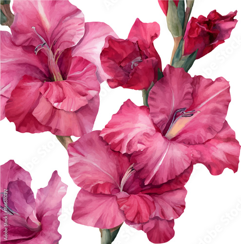 Pink gladiolus flowers watercolor illustration creating a vibrant floral pattern on a seamless design, bringing natural beauty and botanical art for decorative backgrounds