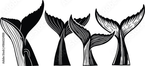 Abstract whale tail silhouettes vector illustration, marine animal flukes rising from ocean water, black and white line art design for nautical, wildlife, and ocean conservation themes