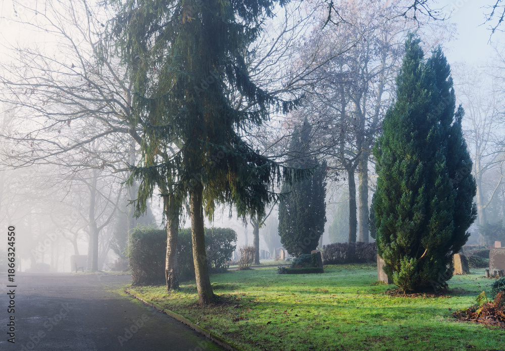 Obraz premium Starker Nebel und Dunst im Park Friedhof mit Weg