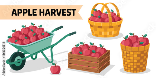 Fresh ripe red apple harvest in wooden crate wheelbarrow and wicker baskets full of organic fruit from orchard farm for healthy eating agriculture and seasonal autumn concept marketing advertising 2D