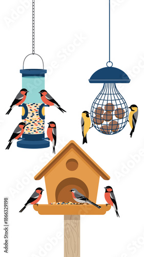 Vibrant bullfinch birds feeding from various bird feeders illustration vector design set for nature conservation wildlife protection educational materials backyard birdwatching enthusiasts avian care