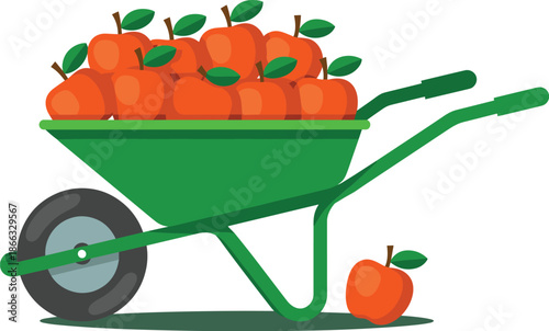 Fresh ripe orange apples in green wheelbarrow harvest seasonal autumn fruit illustration healthy eating concept organic produce agriculture farming farm market seasonal food graphic design vector