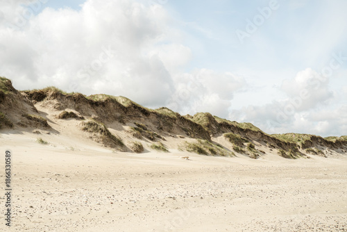 Wide coastal landscape, sandy beach dunes, wind-shaped grass, bright, partly cloudy sky. Natural, minimalist seaside scene, soft light, beach, travel, nature, outdoor themes.