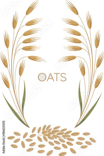 Elegant oat plant illustration with golden grain stalks and green leaves in minimalist modern style healthy diet and lifestyle concept for organic food packaging design and natural health product adve