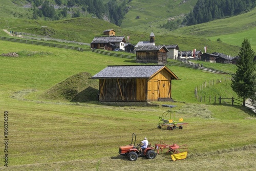 Meadow mowing and behind it the Fane Alm, Vals, Mühlbach, South Tyrol, Italy