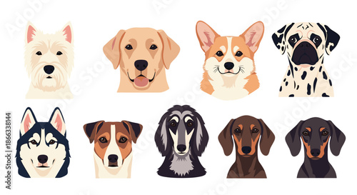 Collection of diverse dog breed head portraits showing various facial features and fur colors in a modern flat vector style.