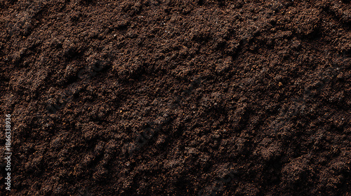 Close-up Texture of Dark Fertile Soil dirt earth