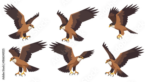 Bird of Prey Animation Frames: Eagle Flying and Landing Sequence