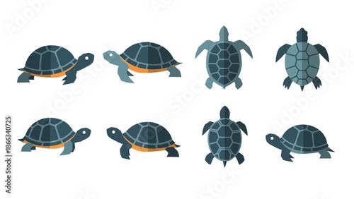 Turtle Collection: Various Angles and Poses, Flat Design