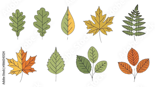 Assorted leaves and foliage in various colors and shapes on a white background
