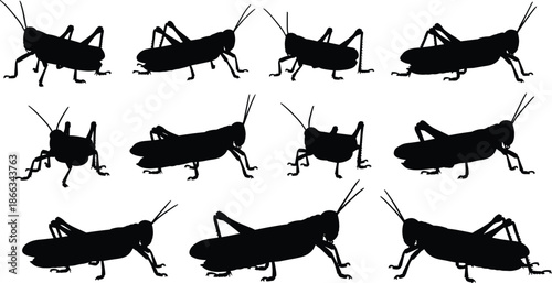 Grasshopper, Insect, Silhouette, Bug, Locust, Arthropod, Wildlife, Nature, Entomology, Animal, Black, Vector, Icon, Set, Collection, Isolated, Graphic, Outline, Pest, Design