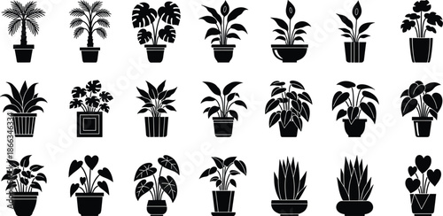 Houseplants, Indoor, Plants, Silhouette, Potted, Botanical, Nature, Decor, Home, Garden, Black, Vector, Icon, Set, Collection, Minimal, Modern, Isolated, Graphic, Design