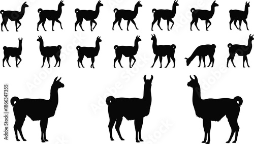 Llama, Alpaca, Animal, Silhouette, Mammal, Farm, Wildlife, Nature, Livestock, Black, Vector, Icon, Set, Collection, Isolated, Graphic, Outline, Cute, Rural, Design