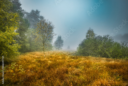 Nebelstimmung im Schwarzem Moor in der Bayrischen Rhön