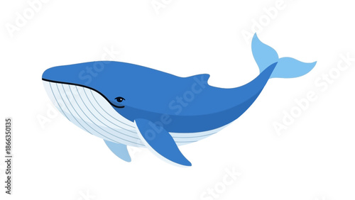 Cute blue whale swimming illustration.