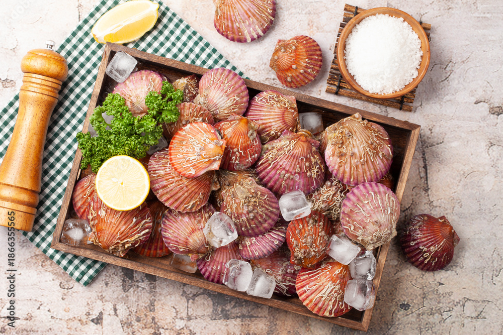 Fototapeta premium 가리비는 가리빗과와 큰집가리빗과의 조개를 통틀어 이르는 말. Scallop is a general term for shellfish of the scallop family and the scallop family.