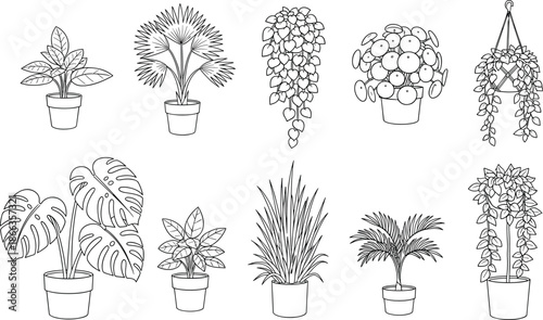 Set of Potted House Plants Line Art Vector Illustration, Including Monstera, Palm, and Hanging Ivy for Interior Design, Gardening, and Home Decor Concepts